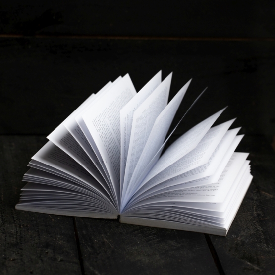 Eine Aufnahme von einem aufgeschlagenen Buch, dessen Seiten sich im Halbkreis aufblättern.