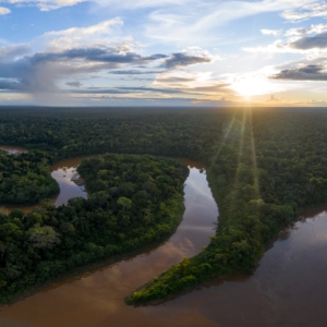 Ein Panorama über den peruanischen Regenwald und einen ihn durchkreuzenden Fluss.